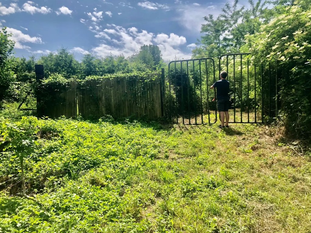 Hoe Het Allemaal Begon