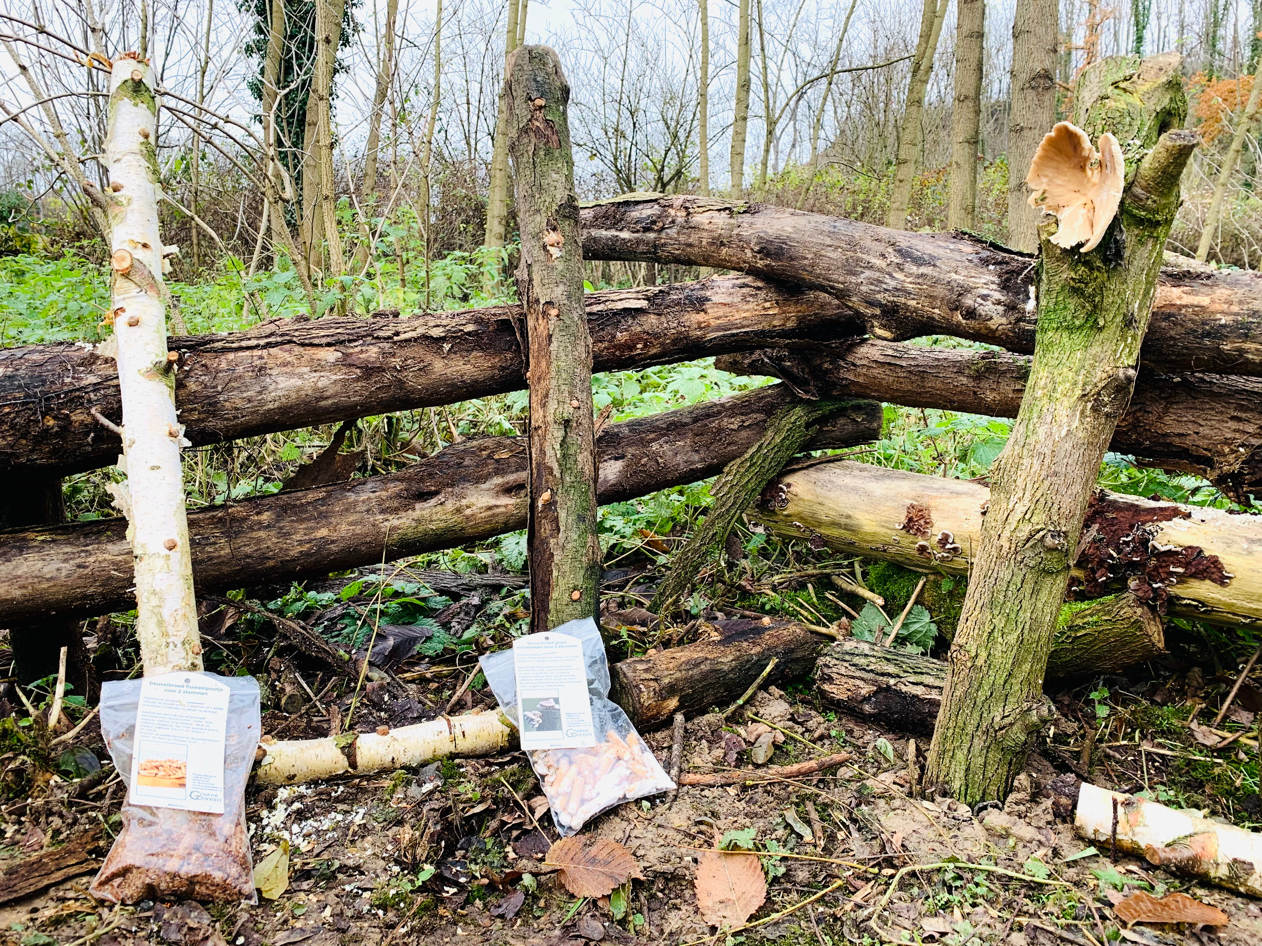 Vuurpad, Duivelsgebroed En Ander Gezwam